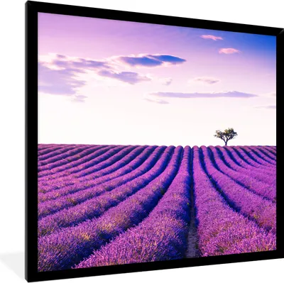 Produktbild von MuchoWow® Gerahmtes Poster Lavendel - Bäume - Lila - Blumen 40x40 cm - Poster mit Schwarzem Bilderrahmen Wandposter Rahmen Foto Bilder - Mit Rahmen - Wanddekoration Schlafzimmer