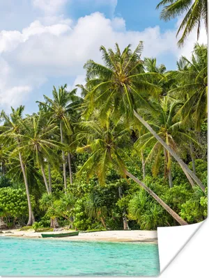Produktbild von MuchoWow® Poster Palme - Meer - Tropisch 120x160 cm - Wandbilder