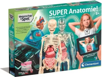 Produktbild von Clementoni Science & Play 56173, Elektronischer Bausatz, Anatomie, 8 Jahr(e), Mehrfarbig