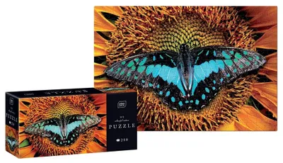 Zdjęcie produktu dla Puzzle 250 Colourful Nature 2 Butterfly - INTERDRUK