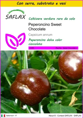 Immagine prodotto di SAFLAX Insieme di coltivazione - Peperoncino Sweet Chocolate - 10 semi - Capsicum