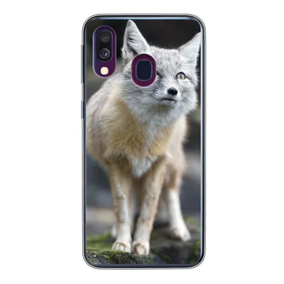 Produktbild von MuchoWow® Handyhülle Schutzhülle Hülle für Samsung Galaxy A40 Fuchs - Makro - Baum Silikon Softcase Handy Hülle - Handy-Tasche