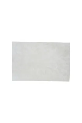Image de Blanca tapis 300x200 cm polyester blanc.