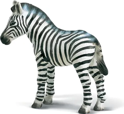 Image de Schleich 14146 Bébé zèbre