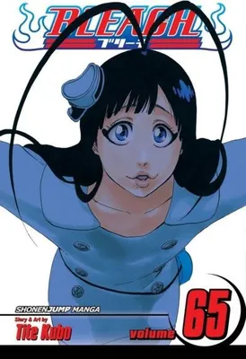 Image de Bleach, Vol. 65