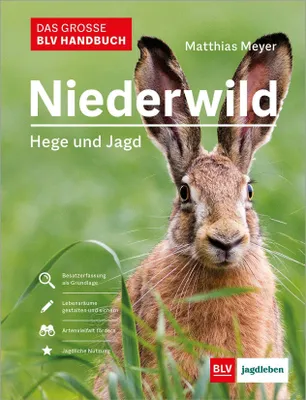 Produktbild von Das große BLV Handbuch Niederwild