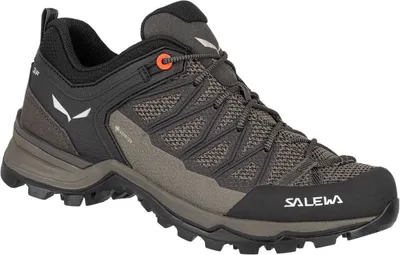 Produktbild von Salewa Schuhe Mtn Trainer Lite Gtx, 613627517