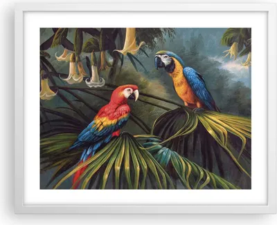Produktbild von Gerahmtes Poster - Weißer Rahmen - Ara Papageien Palmen - 50x40 cm - Wand Bild - Wanddeko - Wandbilder - Kunstposter - Wandposter - Bilderrahmen - Bilder - Kunstdruck - P2WAA50x40-4780