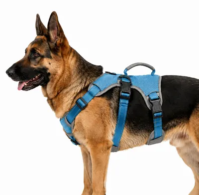 Productafbeelding van Solidchoice - Verstelbare Hondentuig, Antislip en Reflecterend voor Grote Honden