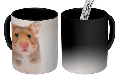 Produktbild von KitchenYeah® Zauber Tasse Zaubertasse Magic Stehender brauner und weißer Hamster 350 ml Farbwechsel Becher Geschenk Geschenkidee - Magic-Tasse - Fototasse - Keramiktassen - Bilder - Tasse Kaffee - Get