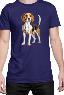 Immagine prodotto di Maglietta da uomo Dogs Breeds Beagle Dog Breed 007, Man L , Bleu foncé