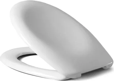 Produktbild von VIGOUR WC-Sitz derby basic für Stand-WC, Scharnier Edelstahl, mit Absenkautomatik, weiß