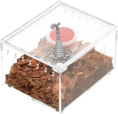 Productafbeelding van Slakkenterrarium, insectenkweekbox, voederbox voor reptielen van transparant acryl, 10,5 x 8,5 x 6 cm, waterdicht, boomhek voor schorpioenen, gekko's,