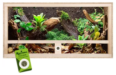 Produktbild von Repiterra® Terrarium Seitenbelüftung Holzterrarium OSB Holz Terrarien 80x50x50cm