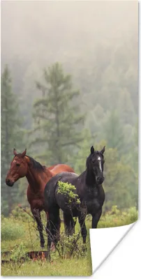 Produktbild von MuchoWow® Poster Pferde - Wald - Nebel 20x40 cm - Plakat - Foto