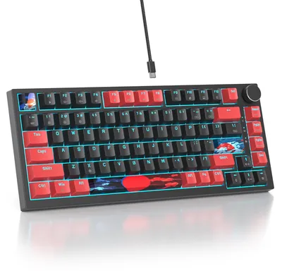 Zdjęcie produktu dla Klawiatura mechaniczna 75%, Klawiatura mechaniczna przewodowa RGB o formacie 75%