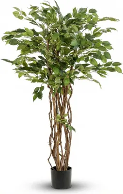 Immagine prodotto di Albero artificiale Ficus Liana – 140 cm – pianta artificiale con foglie dall'aspetto realistico – Albero decorativo che non richiede cure, ideale per il soggiorno, l'ufficio e la reception