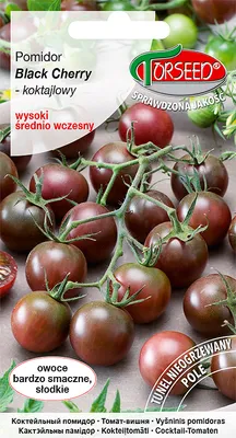 Produktbild von Samen der Cherrytomate - Torseed