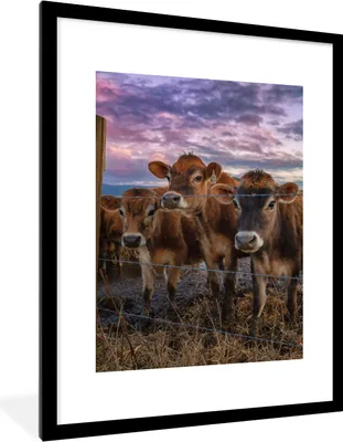 Produktbild von MuchoWow® Gerahmtes Poster Kuh - Tiere - Kühe 60x80 cm - Poster mit Schwarzem Bilderrahmen Wandposter Rahmen Foto Bilder - Wohnzimmer - Dekorationen - Prämie