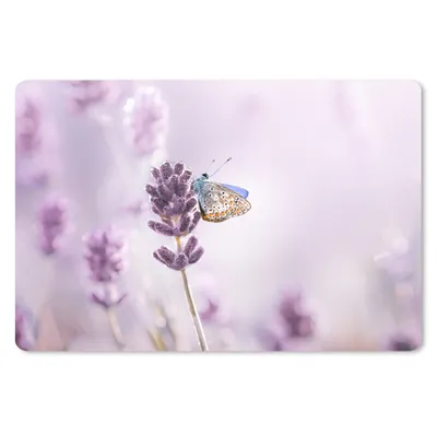 Produktbild von MuchoWow® Mauspad Mousepad Lavendel - Schmetterling - Nahaufnahme - Lila 27x18 cm - Mousepads - Maus Mat - Pad - Mausunterlage - Büroartikel - Desk Matten