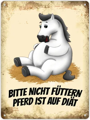 Produktbild von Metallschild XL mit weißem Pferd Motiv und Spruch: Bitte nicht füttern - Pferd