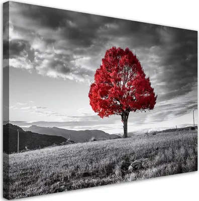 Produktbild von Leinwandbild Roter Baum in einer Wiesenlandschaft 120x80 Feeby Grau bild für die wand bereit zum aufhängen