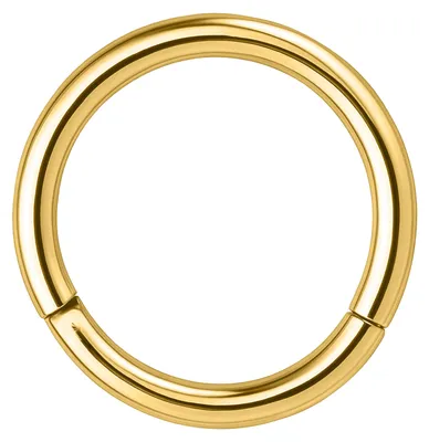 Produktbild von Wildcat Piercingringe - Hinged Segmentring aus Chirurgenstahl 316L, Körperstelle: Ohr, Nase, Lippe, Bauchnabel, Stärke: 3,2mm| Durchmesser: 14,0mm, Gold