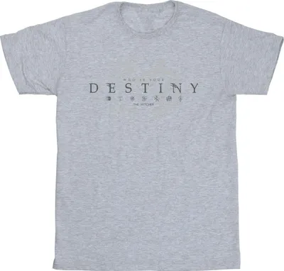 Obrázek produktu pro Netflix - Pánské tričko "The Witcher's Destiny" BI48369 (L) (Grey)