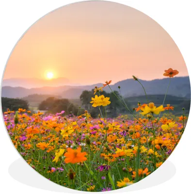 Produktbild von MuchoWow® Rundes Wandbild - Runde Bilder Blumen - Sonnenuntergang - Berg Ø 30 cm Kreis Wanddekoration Kunststoff - Wandkreis - Wandschmuck - Schlafzimmer - Bilder - Der Kreis - Kunst für die Wohnung - Plastik - Kunstdruck - Wandbild