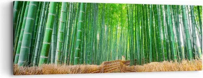 Produktbild von Bild auf Leinwand - Leinwandbild - Bambus Pflanze - 90x30cm - Wand Bild - Wanddeko - Wandbilder - Leinwanddruck - Bilder - Kunstdruck - Wanddekoration - Leinwand bilder - Wandkunst - AB90x30-3979