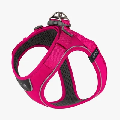 Produktbild von DOG Copenhagen Comfort Walk Go Harness Wild Rose M