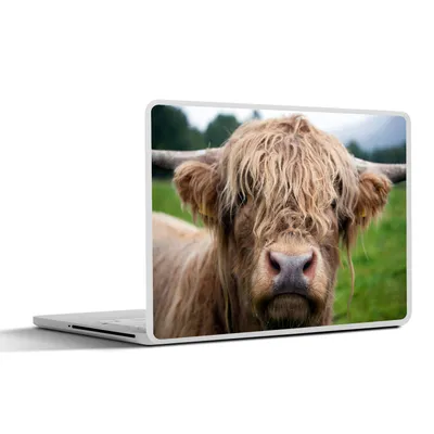 Produktbild von MuchoWow® Laptop Aufkleber Sticker Cover Schottische Highlander - Gras - Wald 31x22.5 cm - Laptop-Deko