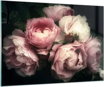 Produktbild von Bilder auf glas - Pfingstrose Blume - 100x70cm - Glasbilder - Wandbilder - Kunstdruck - zum Aufhängen bereit - Wanddekoration aus Glas - Glas Bilder - Wandbild auf Glas - Einteilig - GAA100x70-3930