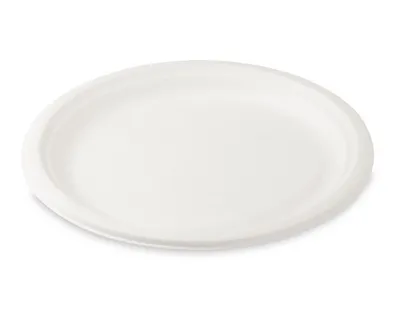 Produktbild von 250x  Grillteller Fleischteller rund aus Zuckerrohr Bagasse Ø 26 cm