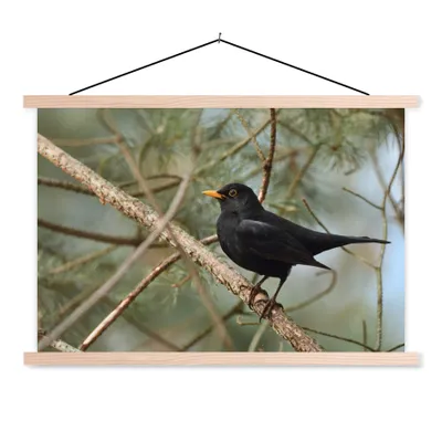 Produktbild von MuchoWow® Textilposter Vogel - Amsel - Zweige - Tiere 120x80 cm mit holzfarbenen Rahmen - Aufhängeset