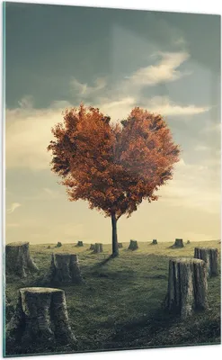 Produktbild von Bilder auf glas - Einteilig - Baum Natur Wiese - 70x100cm - Glasbilder - Wandbilder - Bilder - zum Aufhängen bereit - Wanddekoration aus Glas - Glas Bilder - Wandbild auf Glas - GPA70x100-3751
