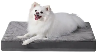 Produktbild von Orthopädisches Hundebett Waschbar Dunkelgrau L 73x45x7 cm