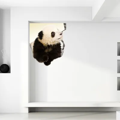 Panda im 3D-Mauerdurchbruch – Decords Wandtattoo, Produktansicht 1