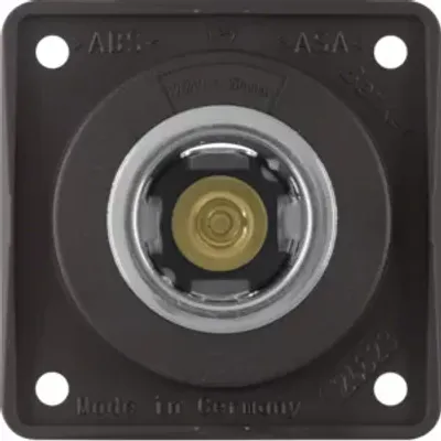 Image de Berker 845712501 Prise de courant 12 V brun, mat Inserts Integro