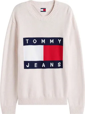 Image de Pull Tommy Jeans DM0DM22105-AFN pour Homme