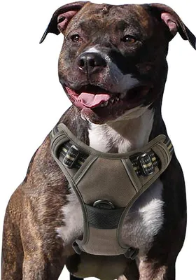 Produktbild von Famanu Hundegeschirr – Antizug- und Kontrollfunktion – Schwarz