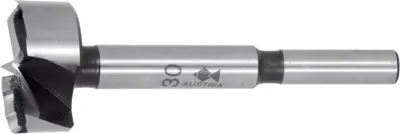 Zdjęcie produktu dla Wiertło Forstnera typ 0310 D.22mm Total-L.90mm Shank-D.8mm FISCH-TOOLS