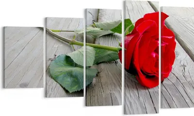 Produktbild von Bild auf Leinwand - Leinwandbild - Blume Holz Pflanze - 100x60cm - Wand Bild - Wanddeko - Leinwanddruck - Bilder - Kunstdruck - Wanddekoration - Leinwand bilder - Wandkunst - EG100x60-0103