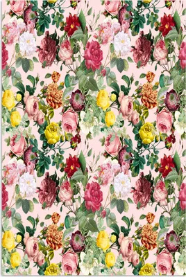 Produktbild von MuchoWow® Poster Blumen - Rosen - Rosa 40x60 cm - Plakate für die Wand - Poster Babyzimmer