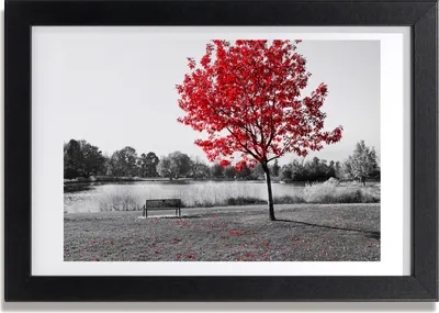 Produktbild von Bild 30x20 MDF-Rahmen, Wandkunst roter Baum