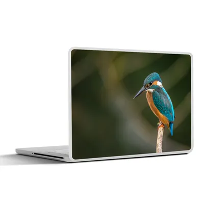 Produktbild von MuchoWow® Laptop Aufkleber Sticker Cover Vogel - Eisvogel - Zweig 32.5x23.5 cm - Sticker für Laptop - Selbstklebend
