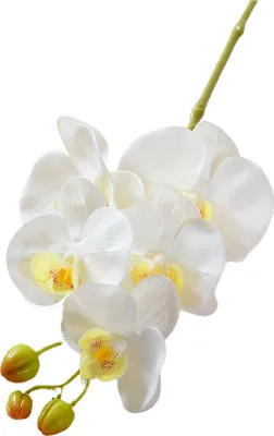 Produktbild von Künstliche Mottenorchideen mit Stiel, realistische 5-köpfige Phalaenopsis-Blume, Tischdekoration für Zuhause und Büro, Kunstblumenzweig, Blumenarrangement-Dekoration