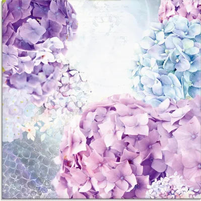 Produktbild von ARTland Glasbild Blau und Pink Hortensie Größe: 30x30 cm