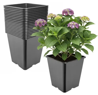 Image de Lot de 20 pots de culture carrés en plastique de haute qualité, avec trous de drainage, pour jardin, de couleur noire, dimensions 25 x 25 x 26 cm, capacité 11 litres. (Référence : GD-KW-HS)