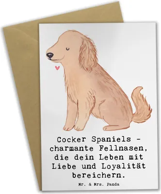 Produktbild von Mr. & Mrs. Panda Glückwunschkarte Cocker Spaniel Liebe - Weiß - Geschenk, Grußkarten, intelligenter Hund, dankeskarten, freundlicher, Familienhund, Hunderassen Vielfalt